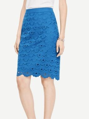 Ann Taylor Skirt